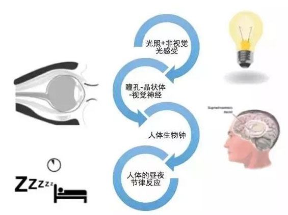 圖片2.jpg